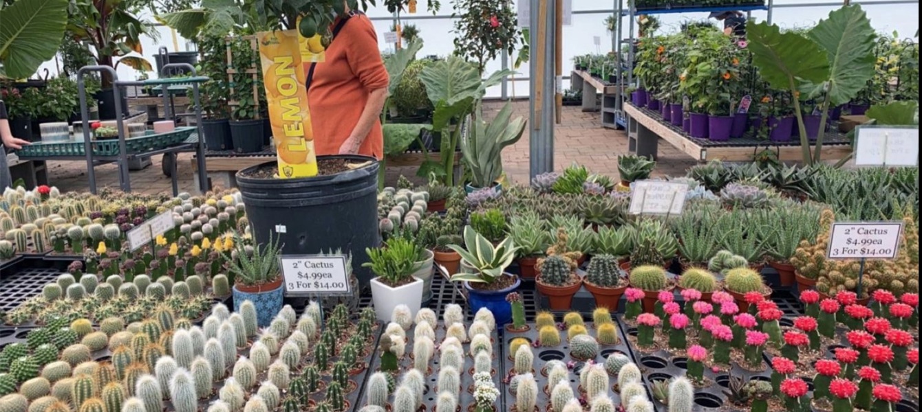 6286bb74b6967018e428622a_צילום מסך 2022-04-13 בשעה 13.28.16