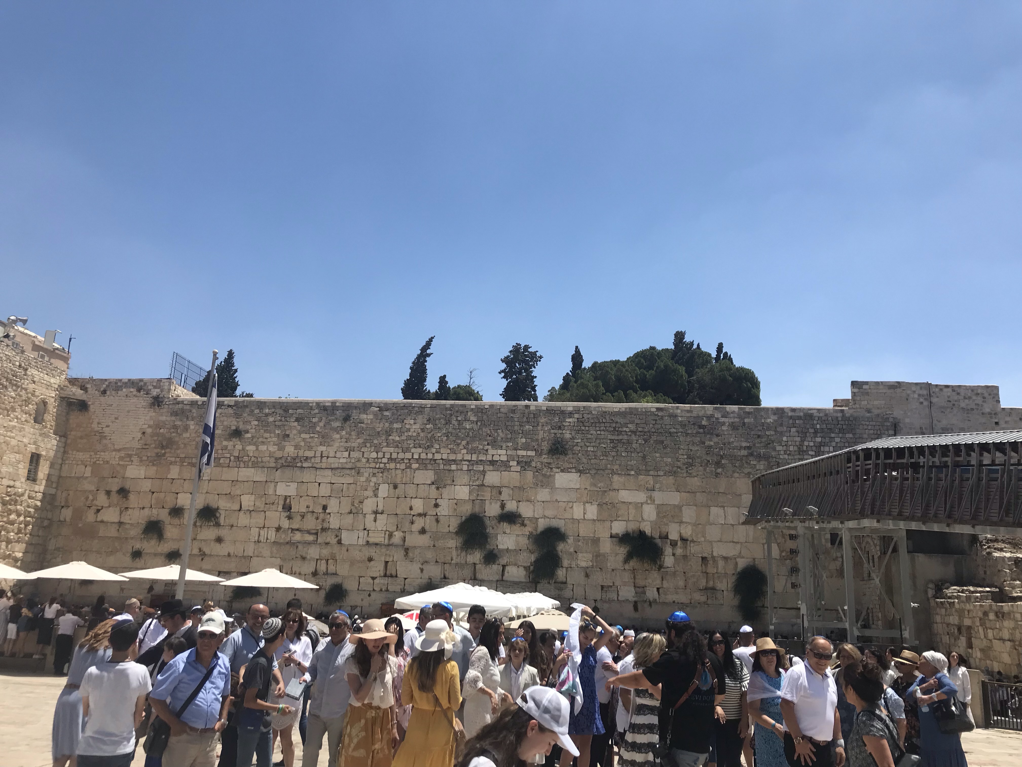 5dd6fb2515de6a09a8dcb7f3_IMG-4332