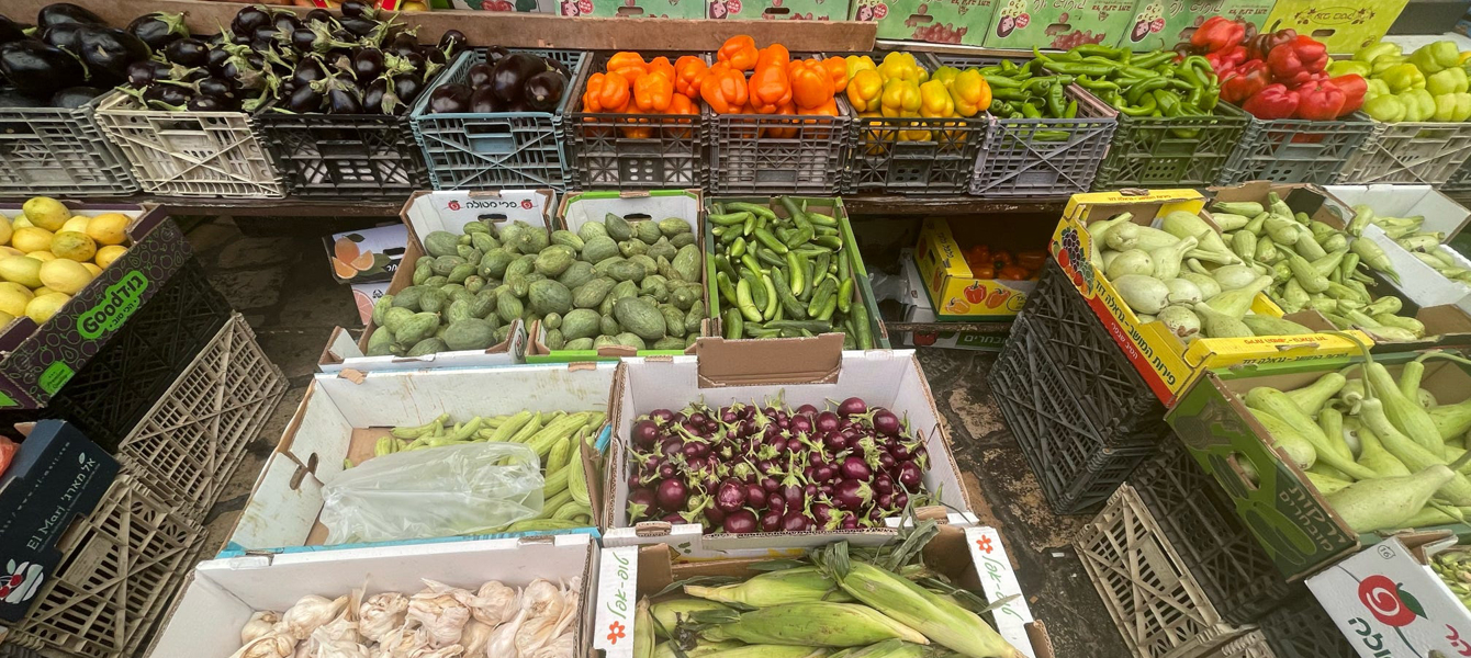 64cbbf0c69520155df3df775_b3ac904bce2342cd81a35a46ec7c5573