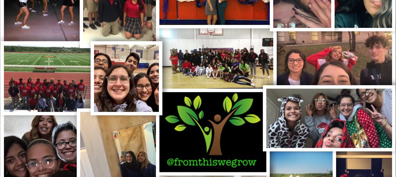 5e90d2a75f8678d9e3542d22_קולאז' (1)