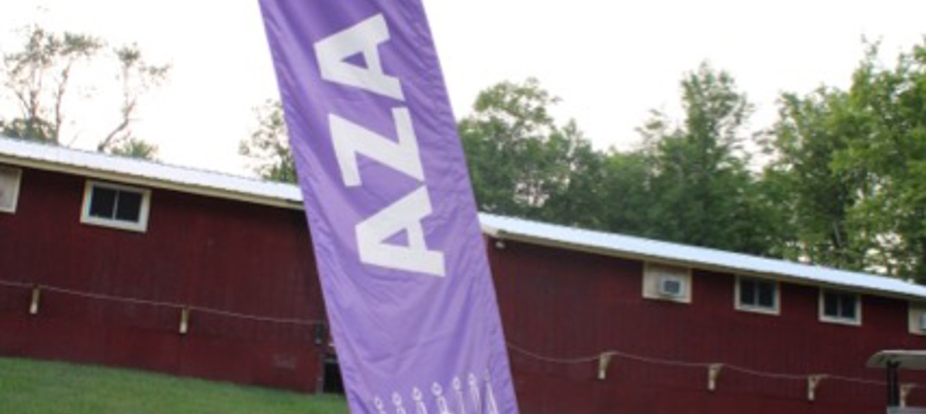 68700d11774a091ad8145a1a_IMG_6907 בינוני