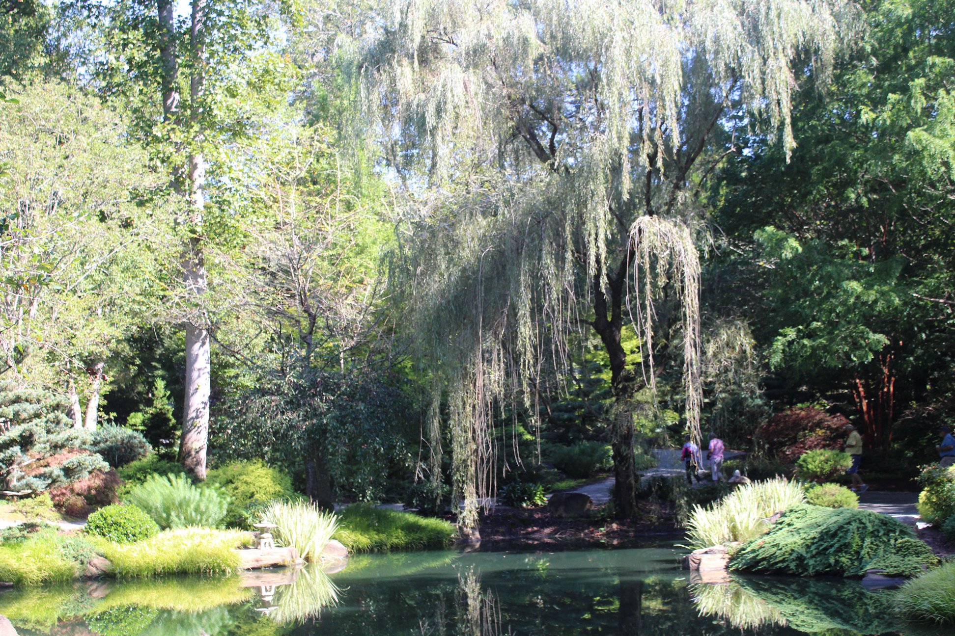 5bbe2840422848f8f524cfc3_43694600_10160924923670273_924030001_a4c437b2