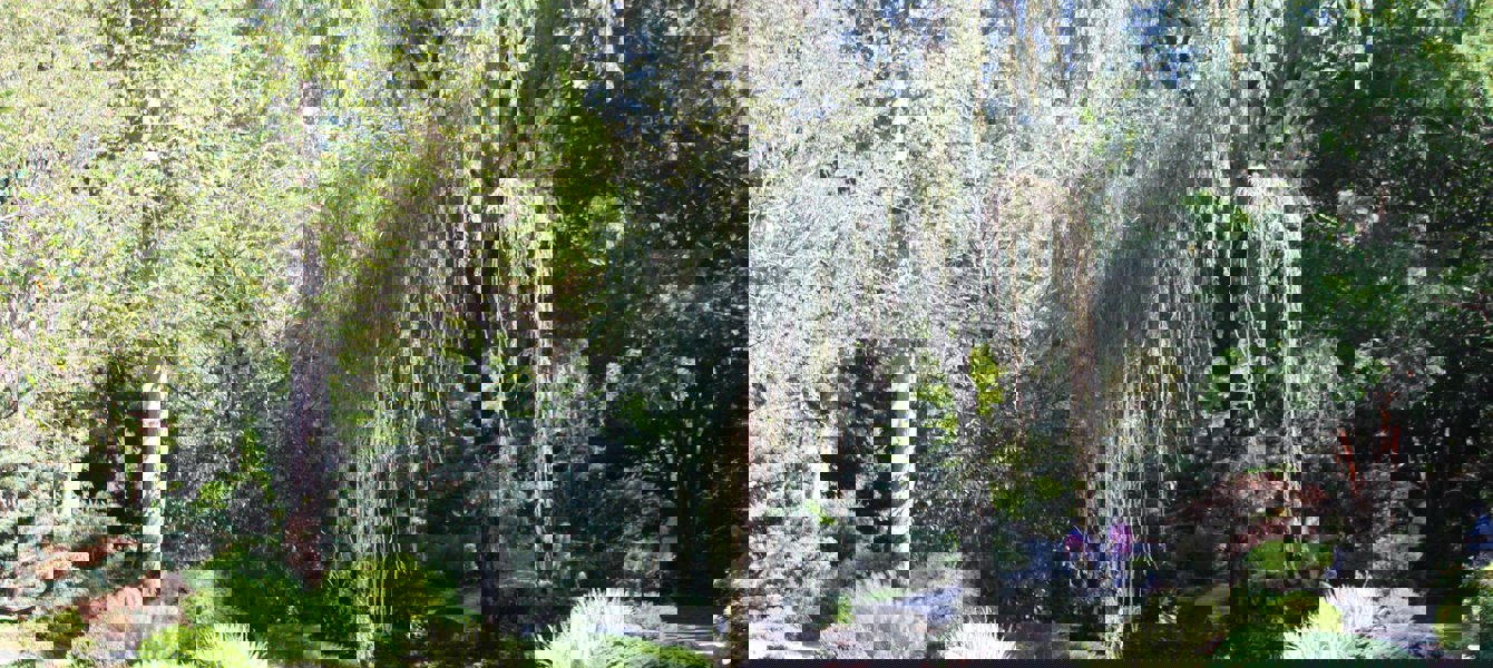 5bbe2840422848f8f524cfc3_43694600_10160924923670273_924030001_a4c437b2