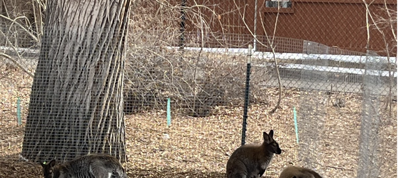 67b1329cdcb0b34e4313aaa0_Screenshot 2025-02-15 at 5.33.51 PM