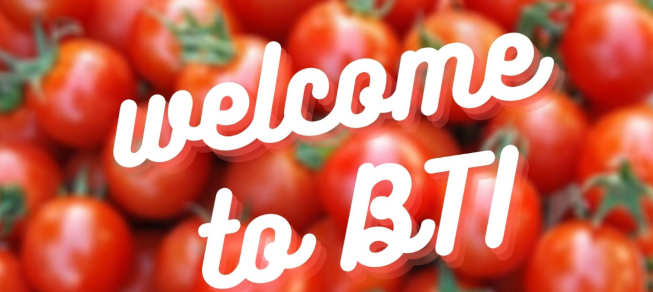 603e65181cae8d816667bd75_ג'יימי מקמנמון - הגשה III תמונה ראשית