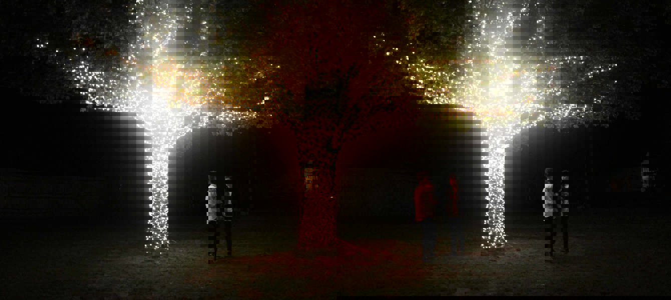 5bea4b8e3705ec0a5b7d07f1_2018-Big Apple Region (Taylor R) -ILTC 