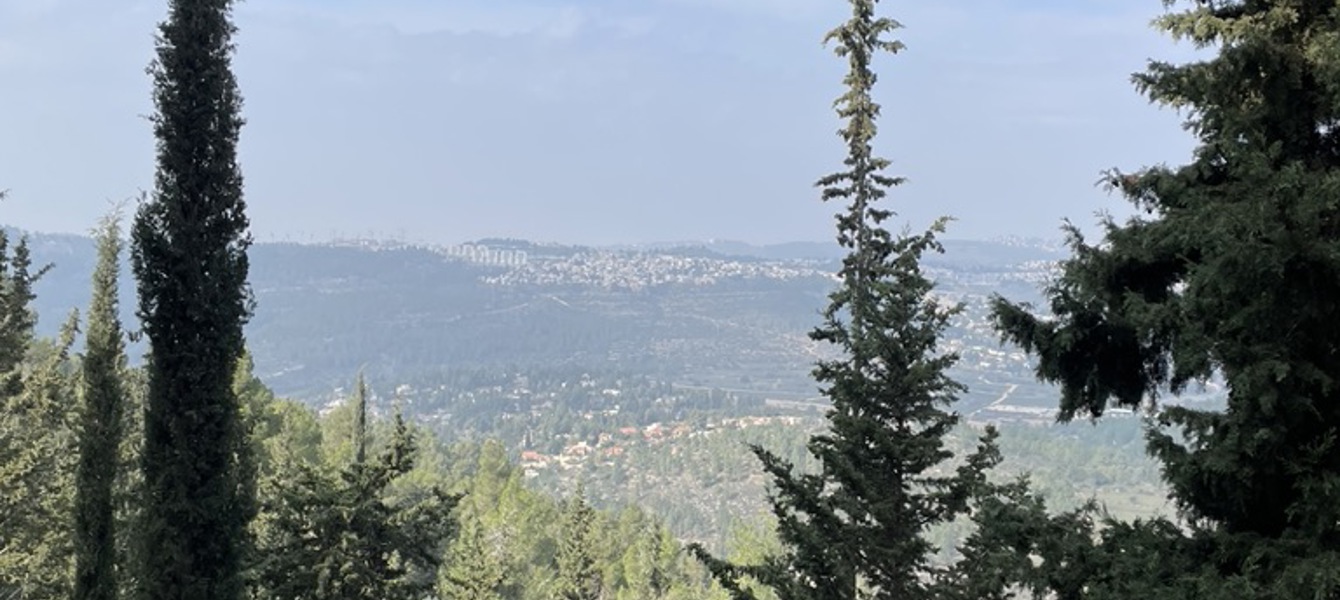 6866c670357d0cc5aa5f6165_96428BEF-2EFE-42D4-9028-55AB30DC7EFB_1_105_c