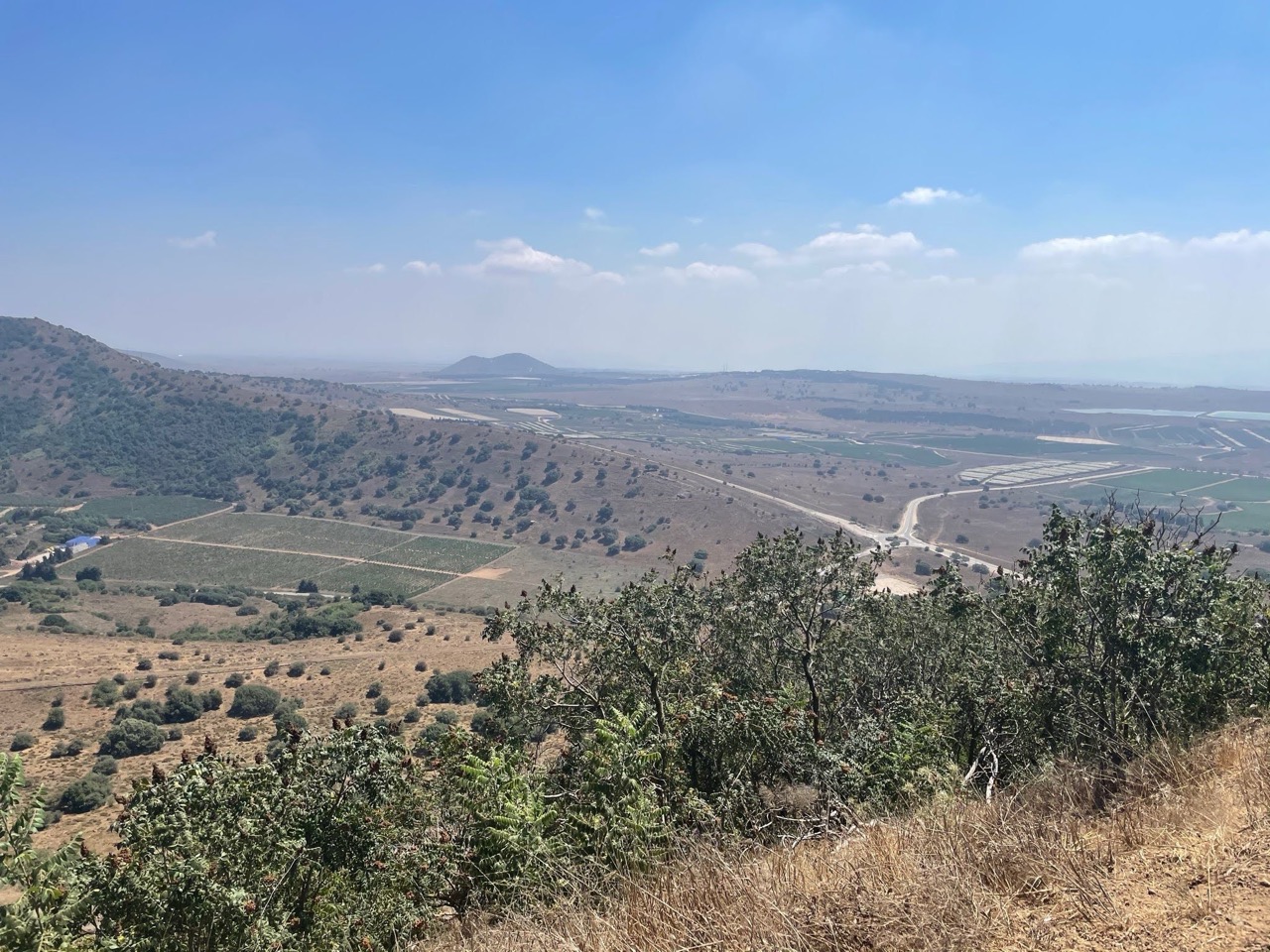 Group of people celebrating on stage