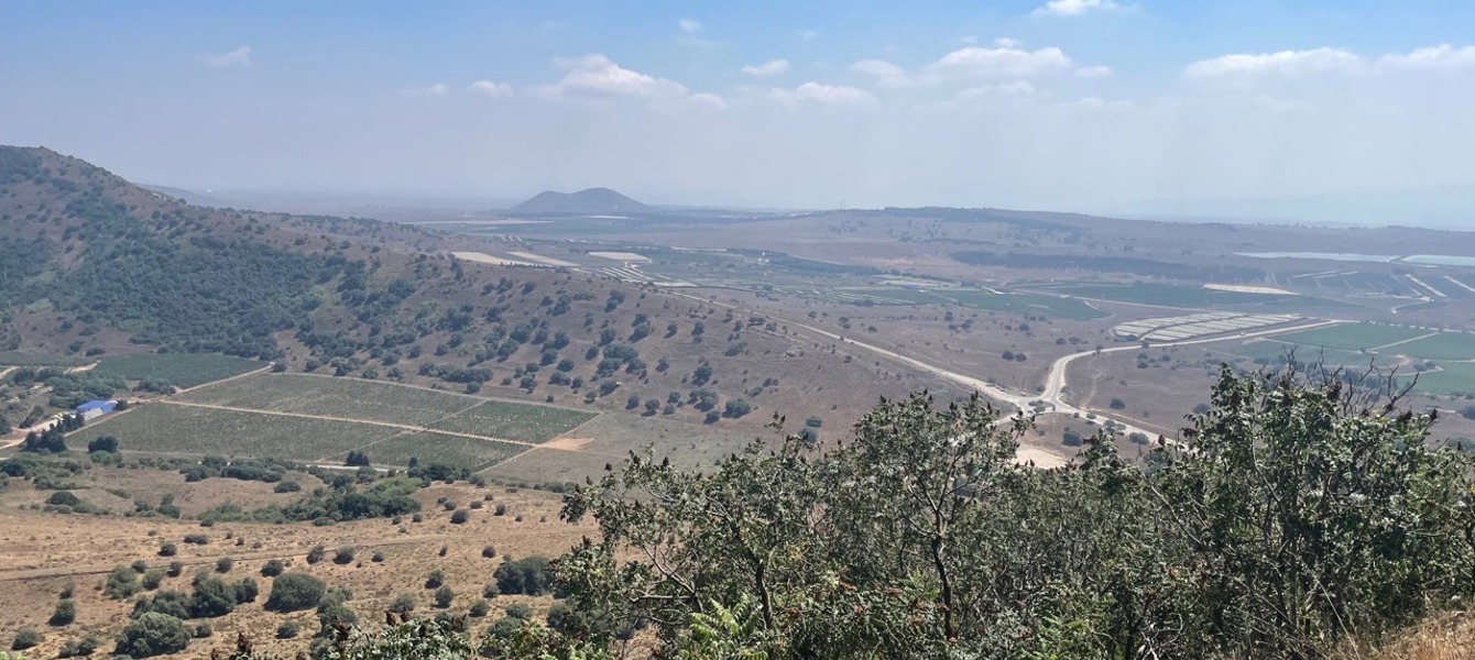 68714bcbce9d37fb5eadbb2c_IMG_0710 גדול