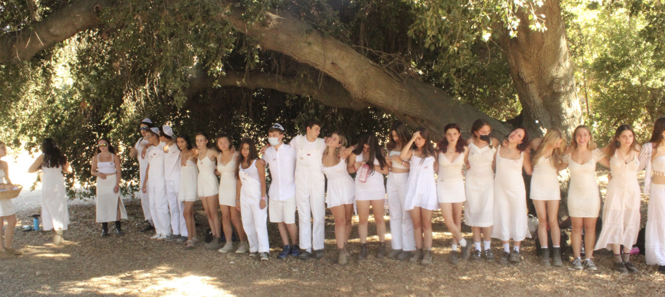 63d0132a3e561d4e48534710_camp