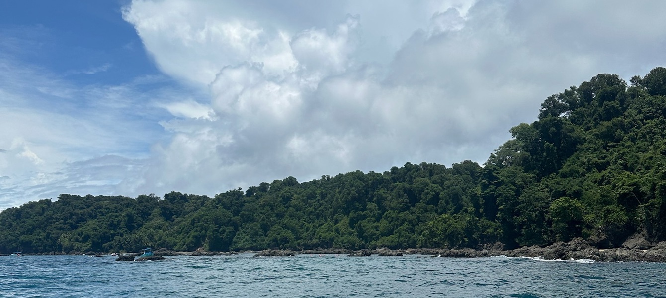 67a68e2d95dc26a33707fcc9_IMG_3811