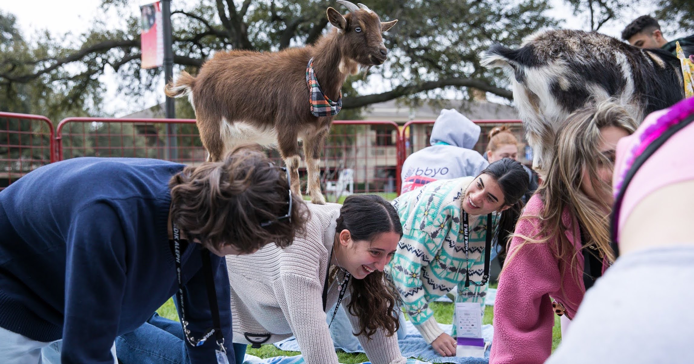 6567a5b48d1f4da3c35f2283_BBYO International Convention - Jaso_5632ba2e