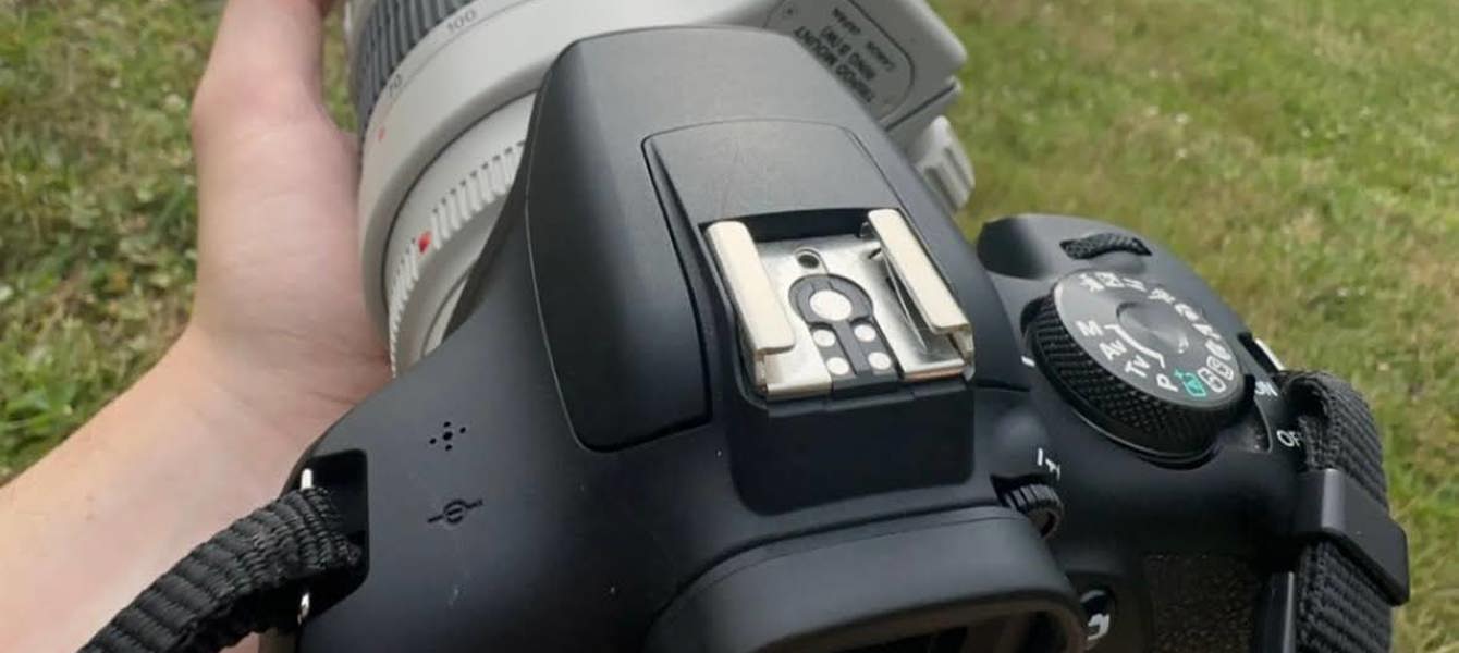 6778065bd6884f08bfd70045_ללא שם (13)