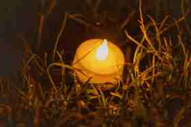 Group of people celebrating on stage