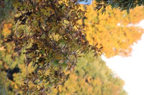 Group of people celebrating on stage