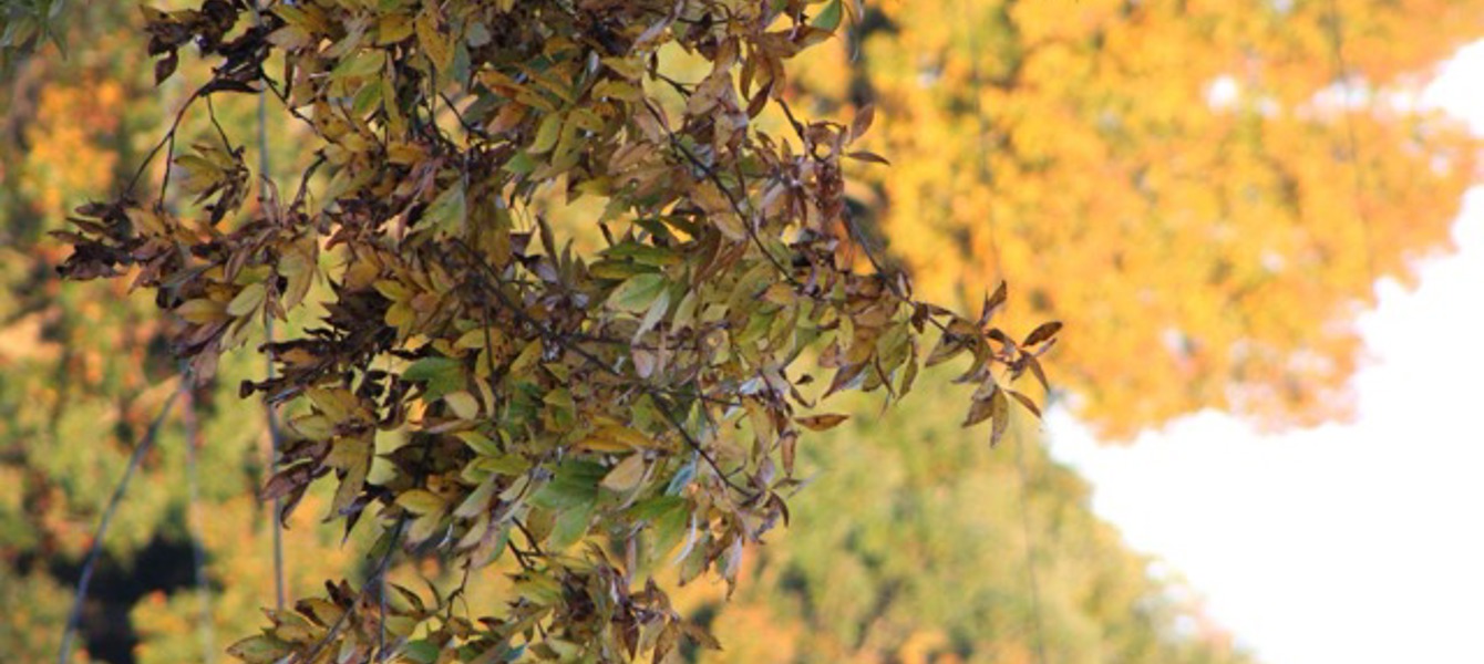 68700db5454a36d83d9a029a_Delta - IMG_2755 בינוני