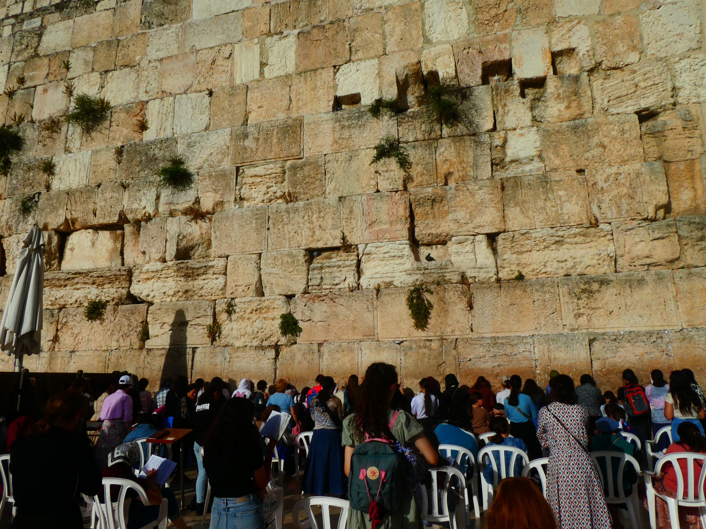 6656477eabfb23c8ba019baf_P1000296