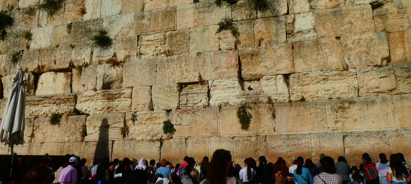 6656477eabfb23c8ba019baf_P1000296