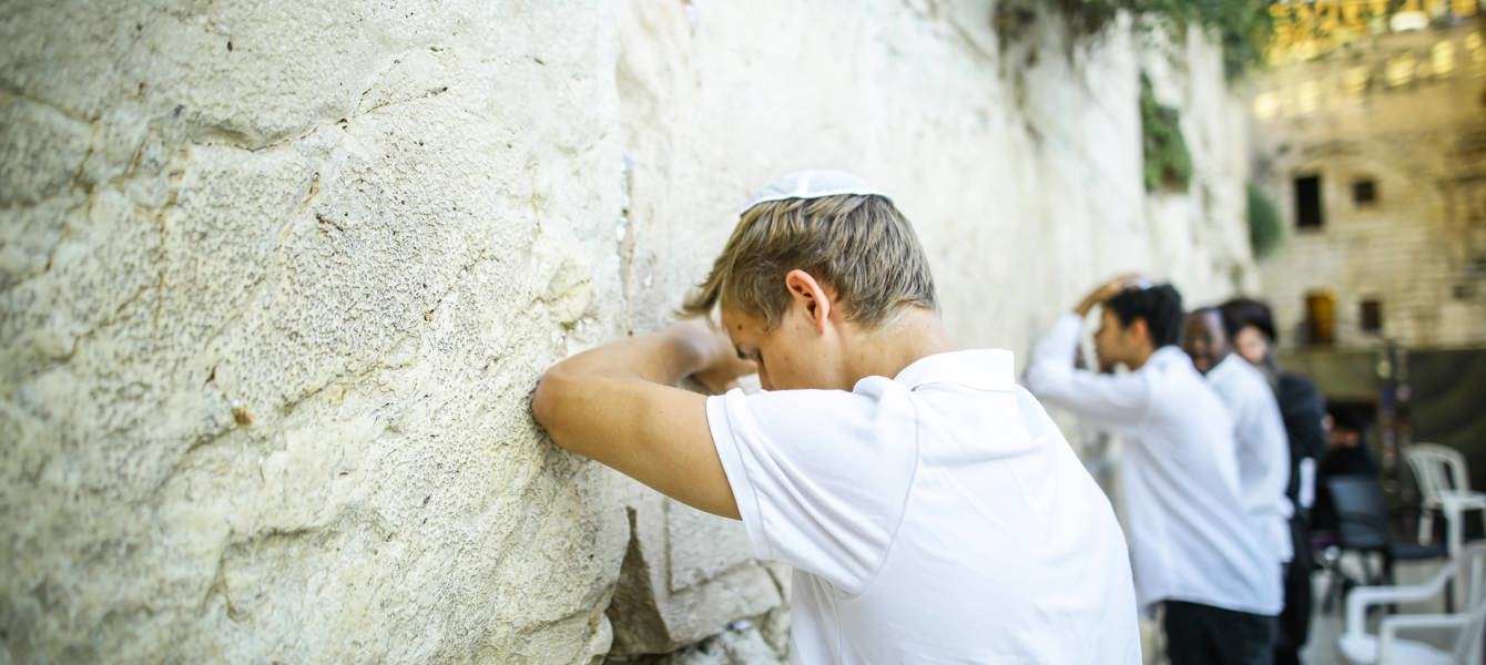 67effbae432fb5615c648bb9_B-65