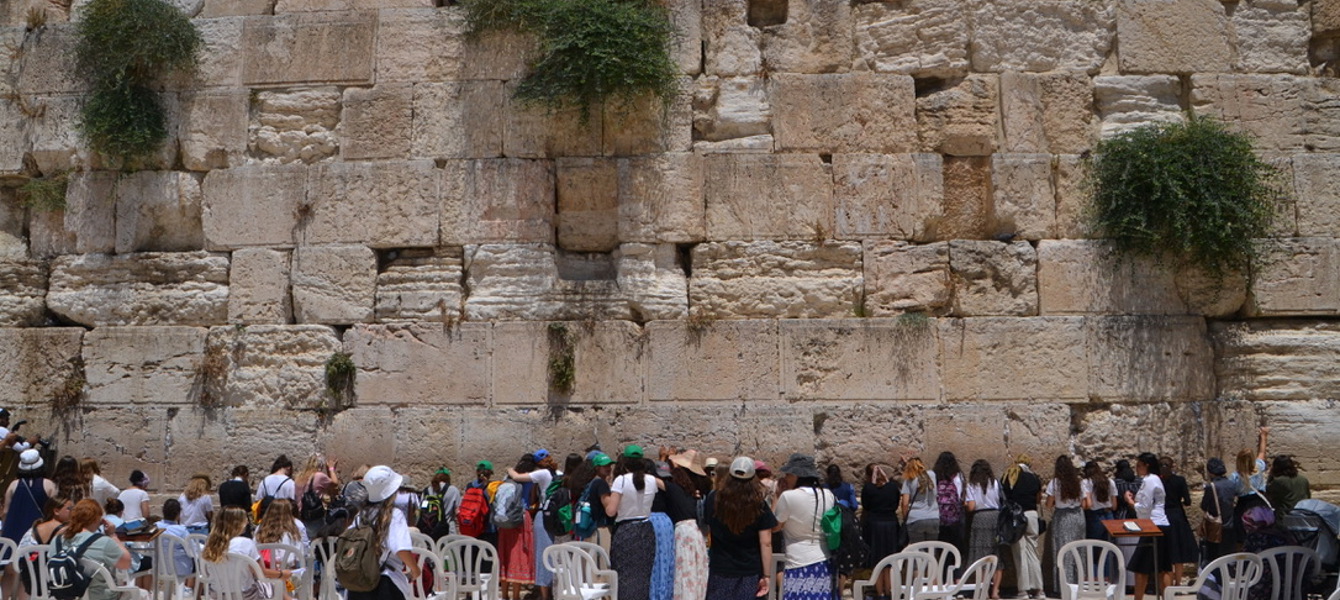 תמונת כריכה 61c25fc897b12dc9ed86388c_