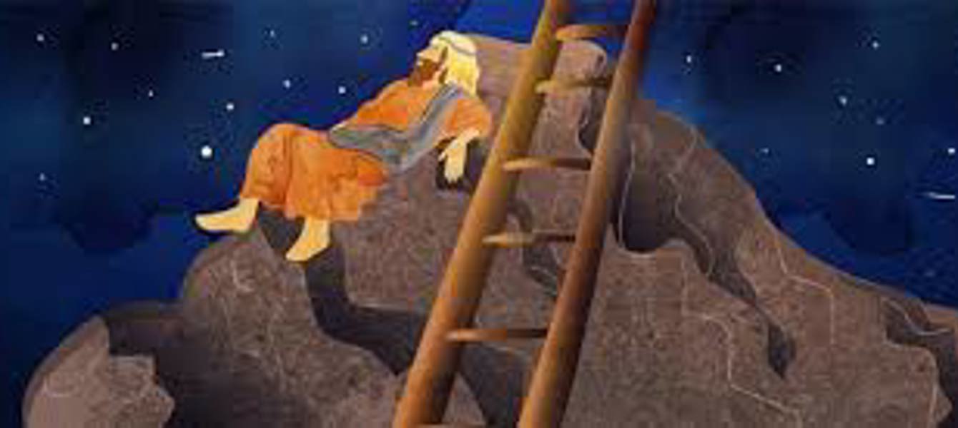 675349ac1a402234c534ca5d_download